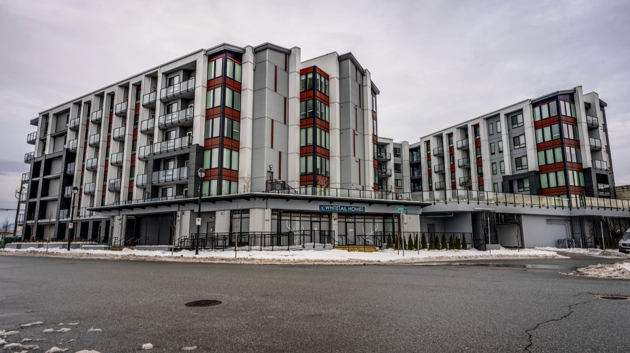 IMG_20240223_194538_110